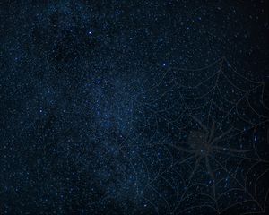 Preview wallpaper cobweb, spider, starry sky, shine