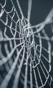 Preview wallpaper cobweb, wet, dew, macro, closeup