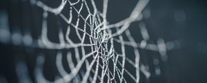 Preview wallpaper cobweb, wet, dew, macro, closeup