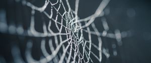 Preview wallpaper cobweb, wet, dew, macro, closeup