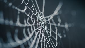 Preview wallpaper cobweb, wet, dew, macro, closeup