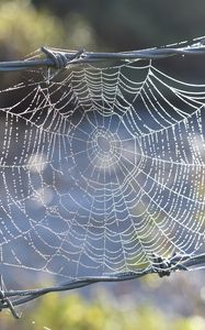 Preview wallpaper cobweb, wire, spikes, blur, macro