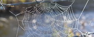 Preview wallpaper cobweb, wire, spikes, blur, macro