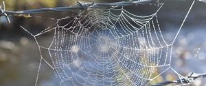 Preview wallpaper cobweb, wire, spikes, blur, macro