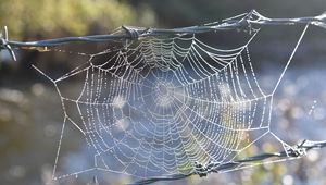 Preview wallpaper cobweb, wire, spikes, blur, macro