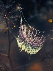 Preview wallpaper cobwebs, branches, shadows, dark