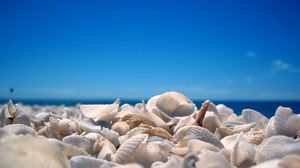 Preview wallpaper cockleshells, sky, coast, beach, blue