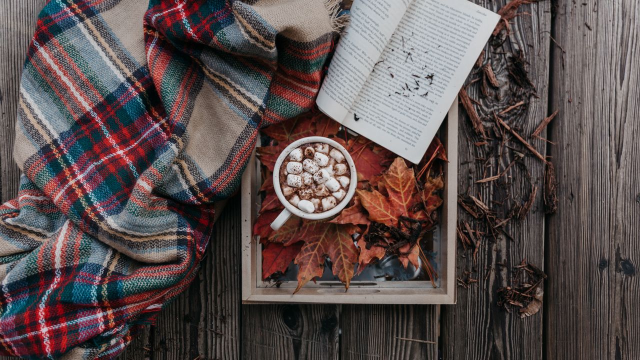 Wallpaper cocoa, marshmallow, autumn, plaid, book