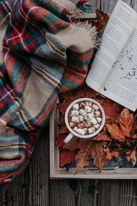 Preview wallpaper cocoa, marshmallow, autumn, plaid, book