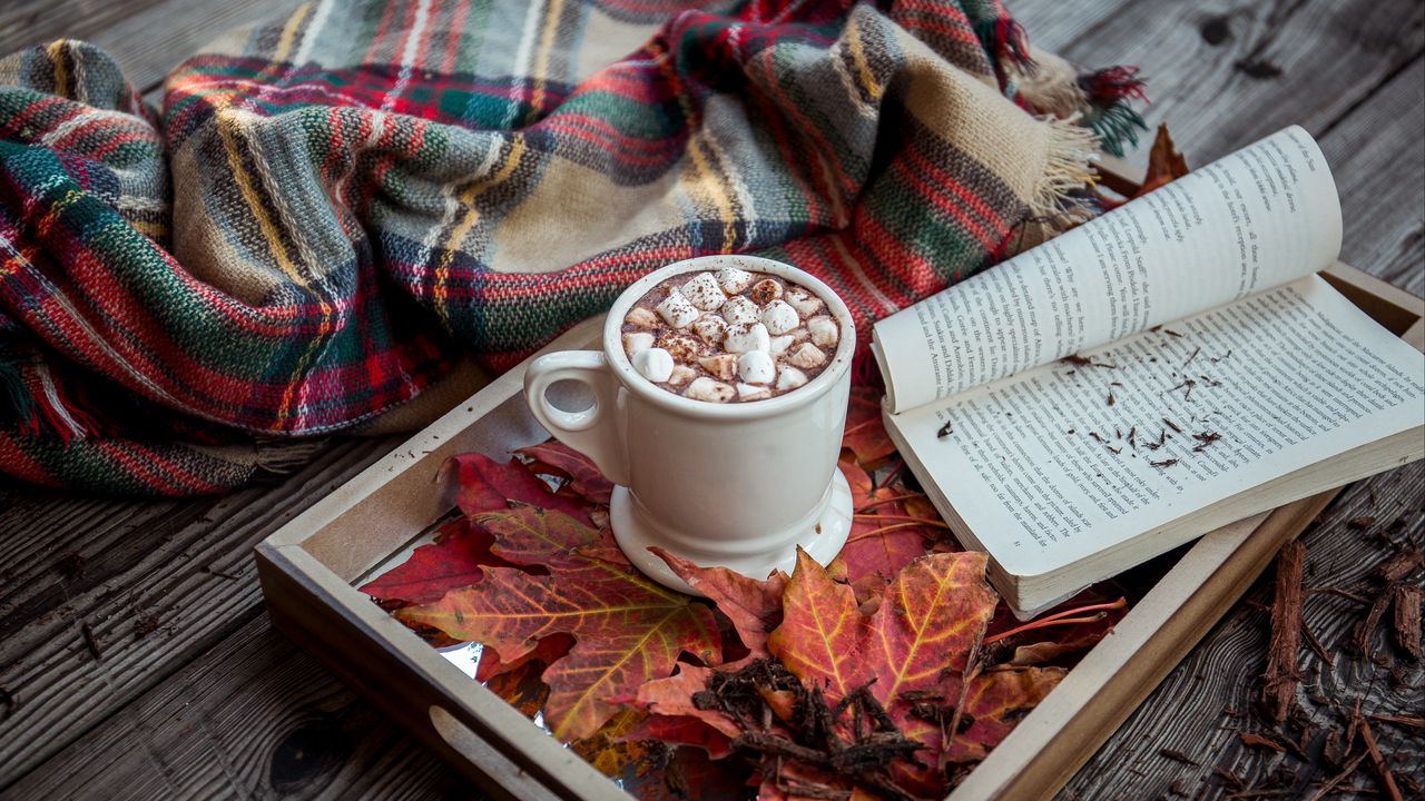 Wallpaper cocoa, marshmallow, plaid, book, autumn