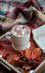Preview wallpaper cocoa, marshmallow, plaid, book, autumn