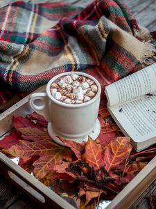Preview wallpaper cocoa, marshmallow, plaid, book, autumn