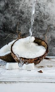 Preview wallpaper coconut, fruit, water