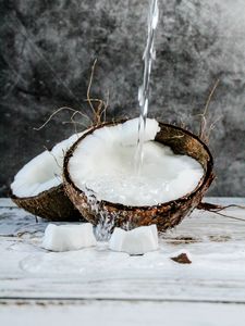 Preview wallpaper coconut, fruit, water