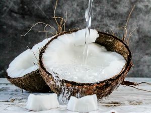 Preview wallpaper coconut, fruit, water