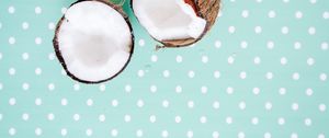 Preview wallpaper coconut, nut, exotic, dots, pattern