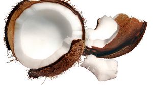 Preview wallpaper coconut, piece, fruit