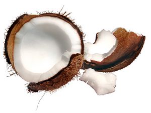 Preview wallpaper coconut, piece, fruit