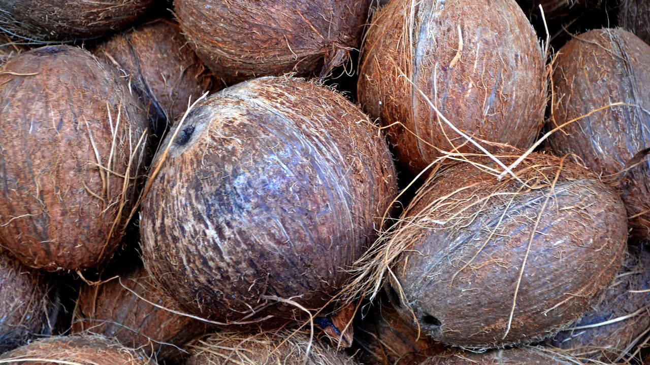 Wallpaper coconuts, fruits, palm
