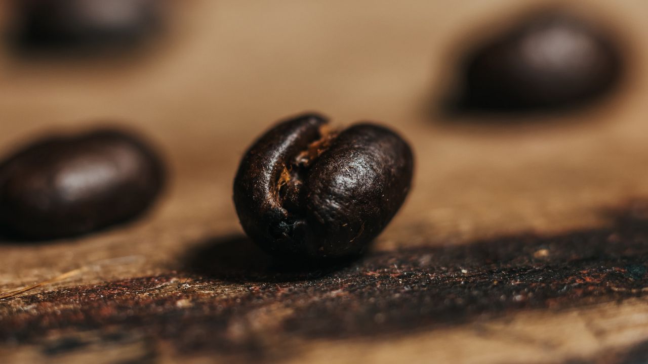 Wallpaper coffee bean, coffee, grain, brown