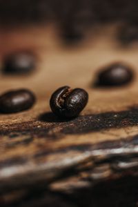 Preview wallpaper coffee bean, coffee, grain, brown
