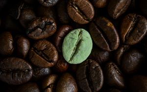 Preview wallpaper coffee beans, beans, brown, macro