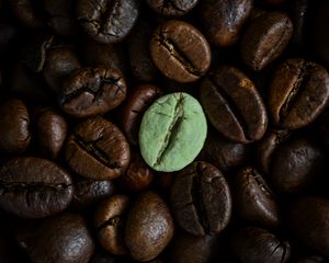 Preview wallpaper coffee beans, beans, brown, macro