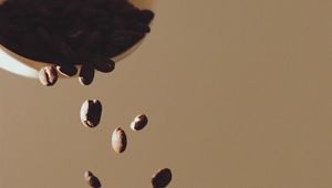 Preview wallpaper coffee beans, beans, coffee, plate, beige