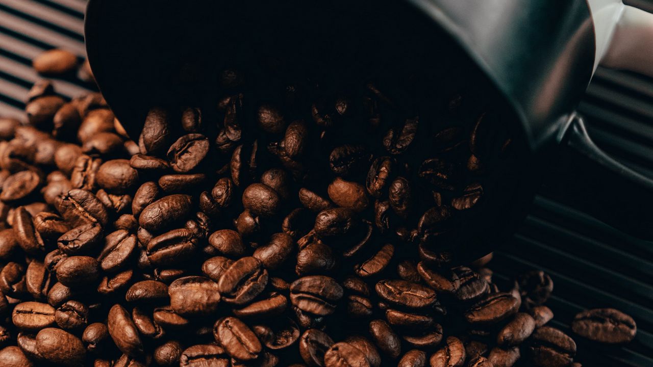 Wallpaper coffee beans, beans, coffee, cup