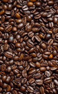 Preview wallpaper coffee beans, beans, coffee, brown