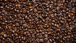 Preview wallpaper coffee beans, beans, coffee, brown