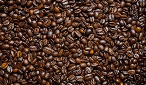 Preview wallpaper coffee beans, beans, coffee, brown