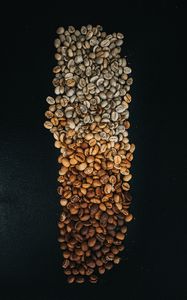 Preview wallpaper coffee beans, beans, coffee, gradient, brown