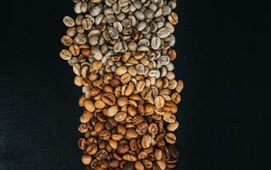 Preview wallpaper coffee beans, beans, coffee, gradient, brown