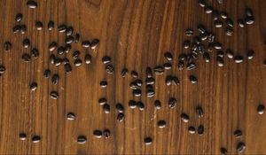 Preview wallpaper coffee beans, beans, coffee, surface, wooden