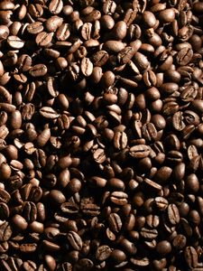 Preview wallpaper coffee beans, beans, coffee, cinnamon, macro