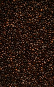 Preview wallpaper coffee beans, beans, coffee, roasting, brown