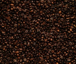Preview wallpaper coffee beans, beans, coffee, roasting, brown