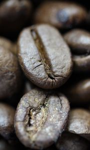 Preview wallpaper coffee beans, beans, coffee, roasting, macro