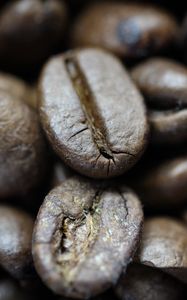 Preview wallpaper coffee beans, beans, coffee, roasting, macro