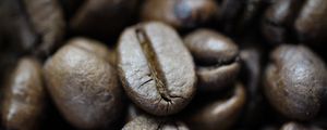 Preview wallpaper coffee beans, beans, coffee, roasting, macro
