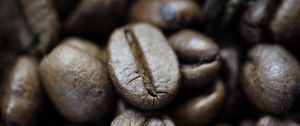 Preview wallpaper coffee beans, beans, coffee, roasting, macro