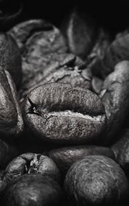 Preview wallpaper coffee beans, beans, coffee, black and white