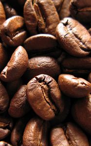 Preview wallpaper coffee beans, beans, roasting, coffee, brown