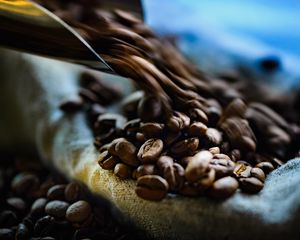 Preview wallpaper coffee, beans, blur, macro