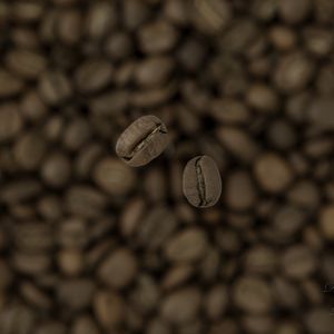Preview wallpaper coffee, beans, blur, macro, brown