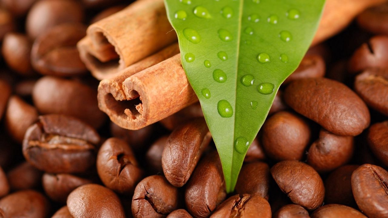 Wallpaper coffee beans, cinnamon, leaves