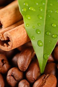 Preview wallpaper coffee beans, cinnamon, leaves