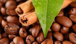 Preview wallpaper coffee beans, cinnamon, leaves