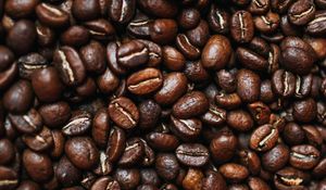 Preview wallpaper coffee beans, coffee, beans, brown, macro